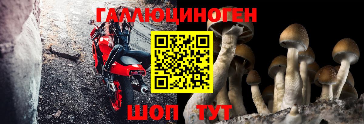 Архангельск  Псилоцибиновые грибы мухоморы  Вход с VPN  Галлюциногенные грибы ЛСД 